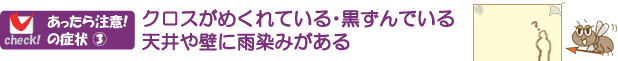 クロスがめくれている・黒ずんでいる、天井や壁に雨染みがある・・はシロアリが原因かも～